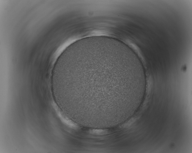 X0000111471427200907201126