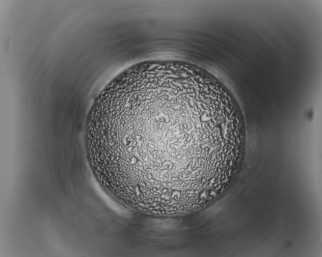 X0000111471429200907201126