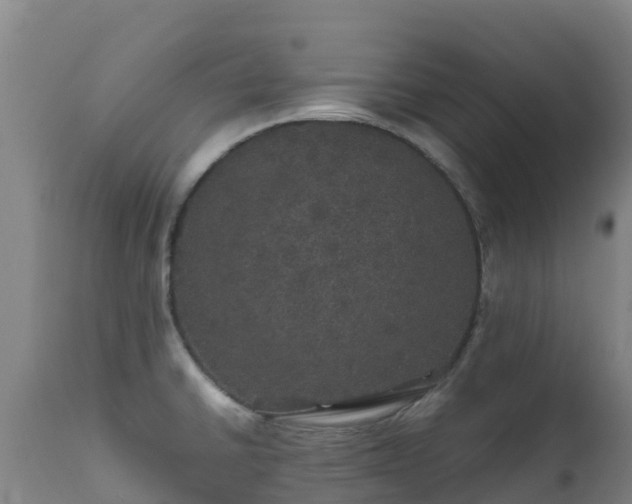 X0000111471430200907201126