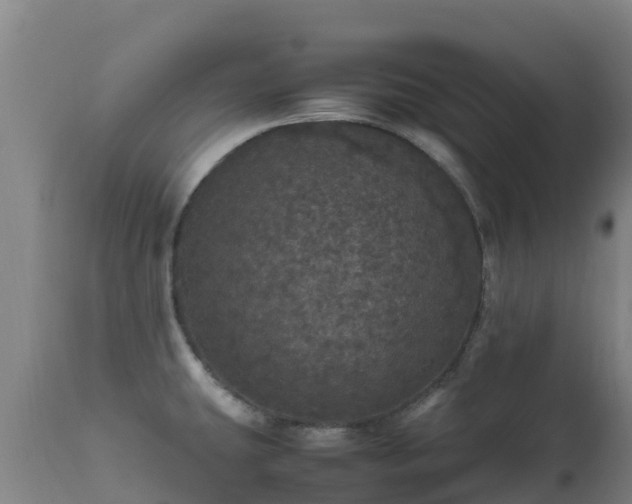 X0000111471431200907201126