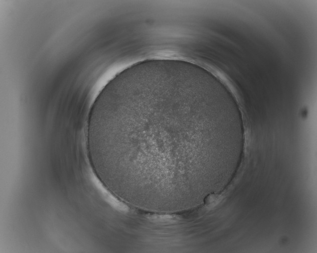 X0000111471432200907201126