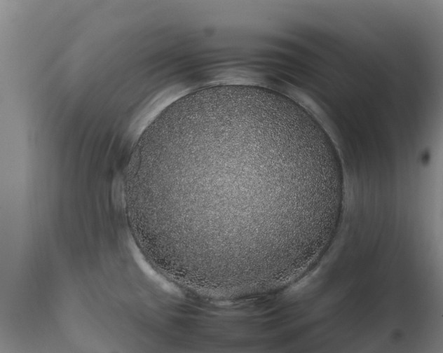 X0000111471433200907201126