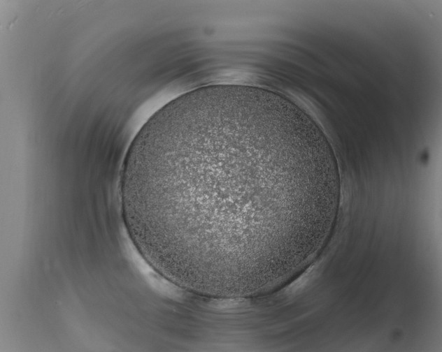 X0000111471434200907201126