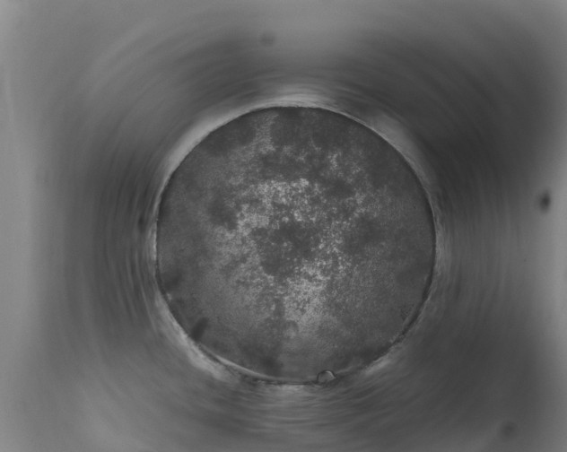 X0000111471436200907201126