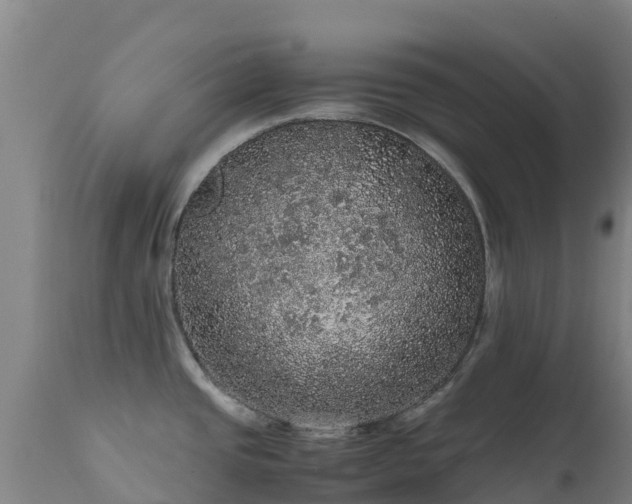 X0000111471437200907201126