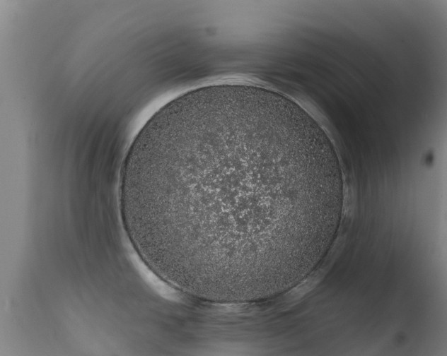 X0000111471438200907201126