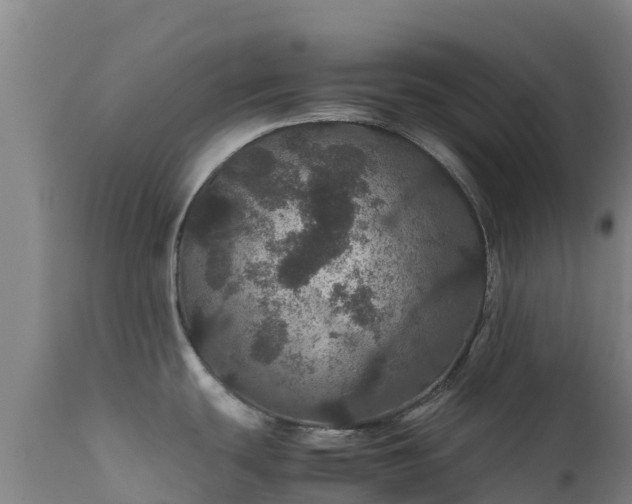 X0000111471439200907201126