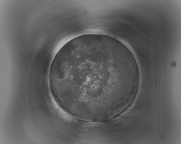 X0000111471440200907201126