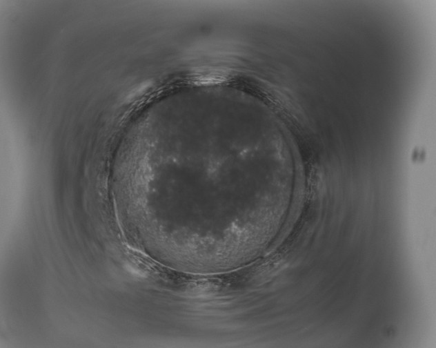 X0000111471441200907201125