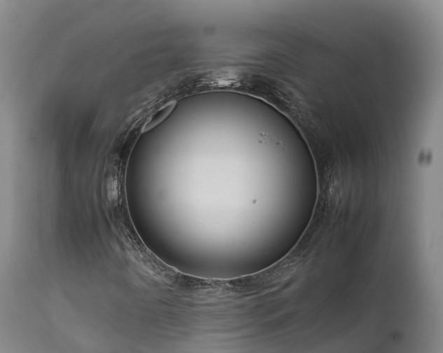 X0000111471442200907201125