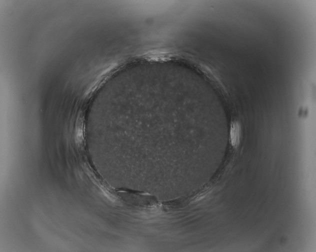 X0000111471444200907201125