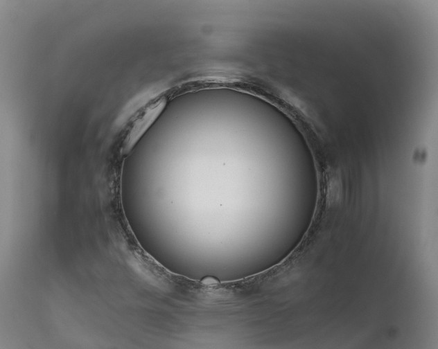 X0000111471448200907201125