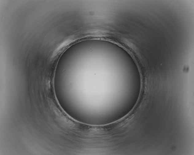 X0000111471451200907201125