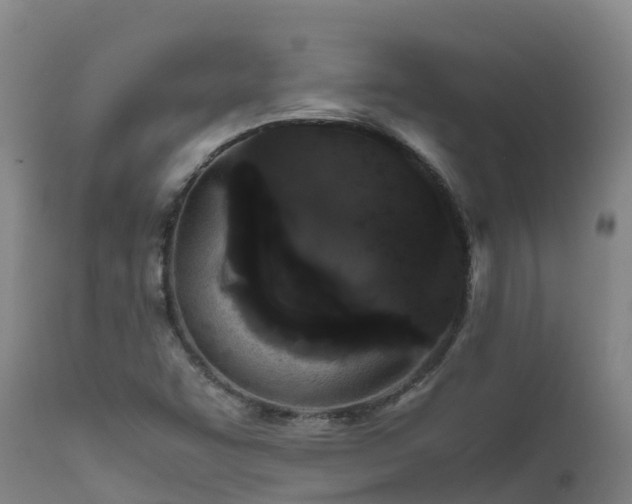 X0000111471455200907201125