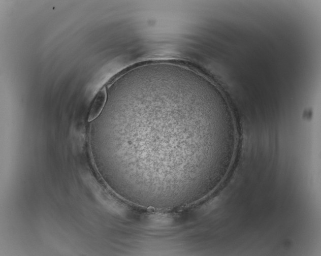 X0000111471457200907201125