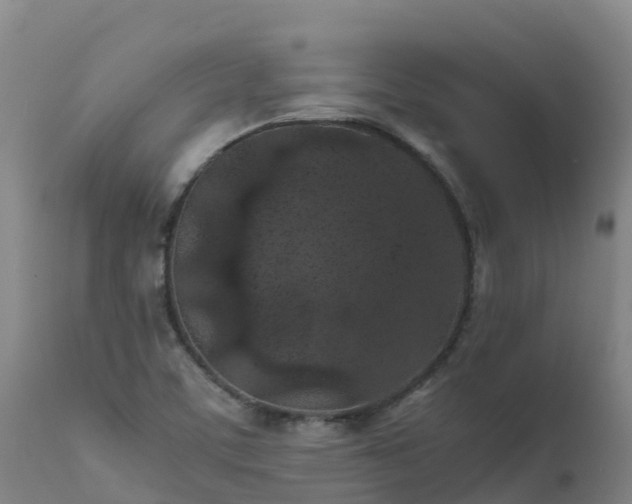 X0000111471459200907201125