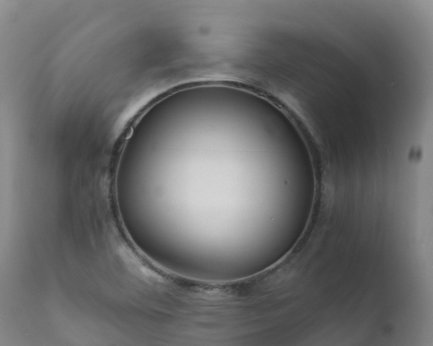 X0000111471460200907201125