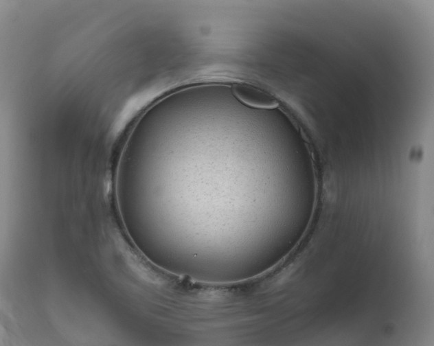 X0000111471461200907201125