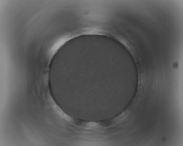 X0000111471463200907201125