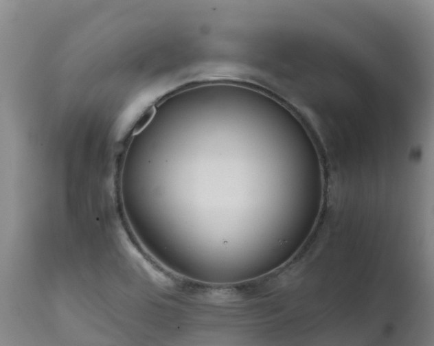 X0000111471464200907201125