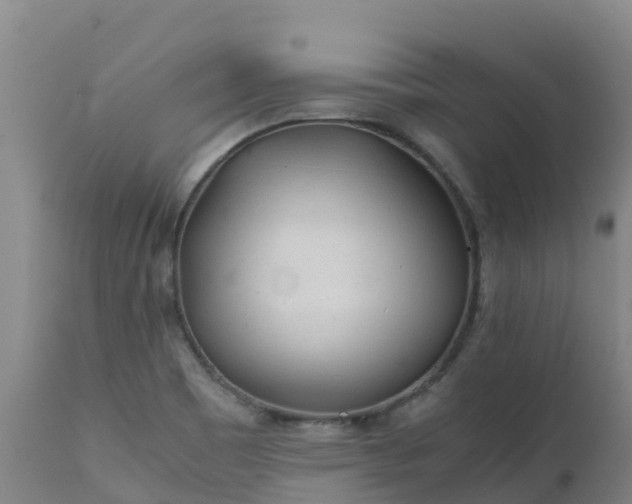 X0000111471465200907201125