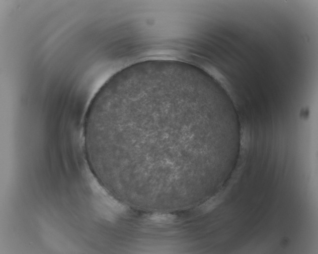 X0000111471466200907201125