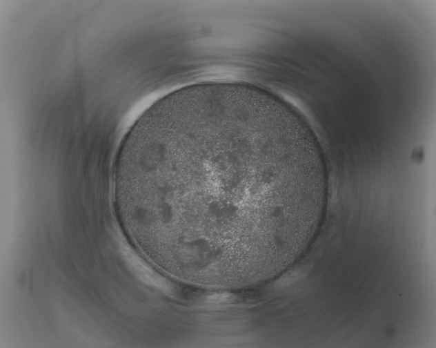 X0000111471467200907201125