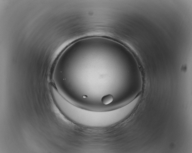 X0000111471468200907201125