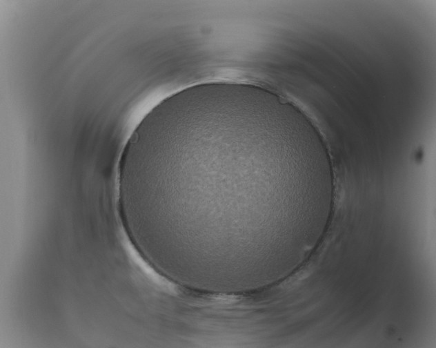 X0000111471479200907201125