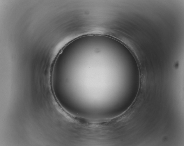 X0000111471480200907201125