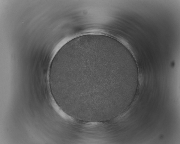 X0000111471482200907201124