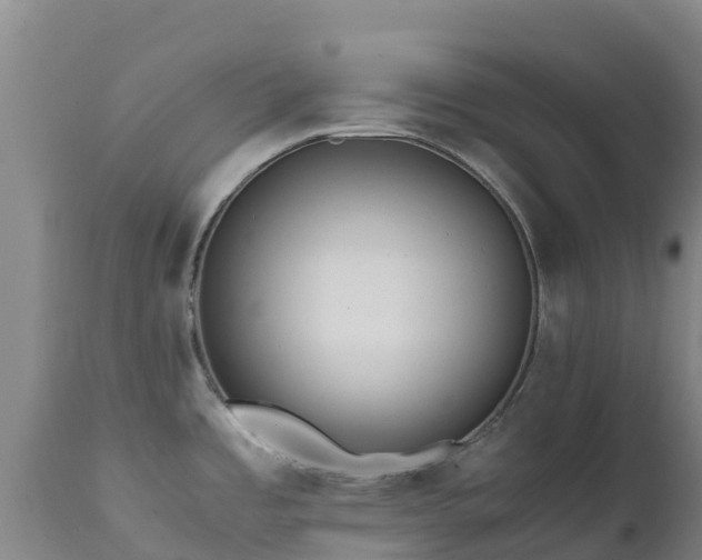 X0000111471485200907201124