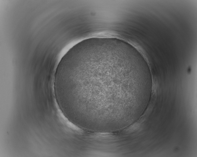X0000111471486200907201124