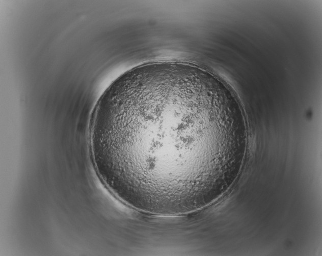 X0000111471487200907201124