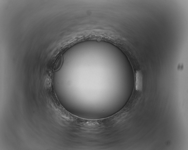 X0000111471491200907201124