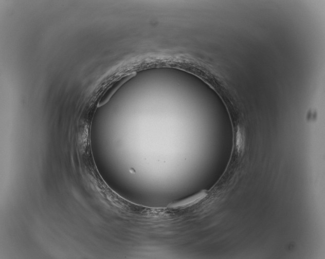X0000111471492200907201124