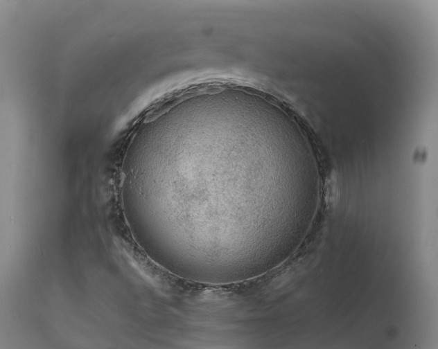 X0000111471496200907201124