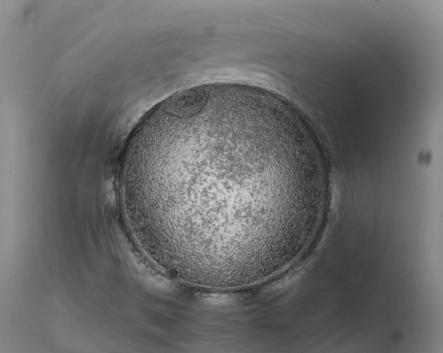 X0000111471497200907201124