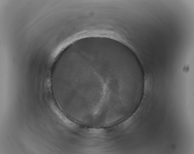 X0000111471498200907201124