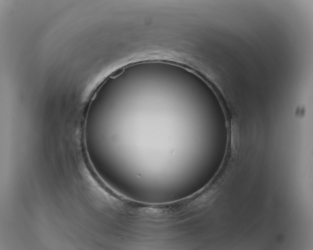 X0000111471500200907201124
