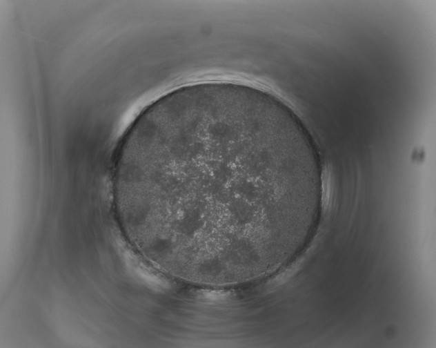 X0000111471501200907201124