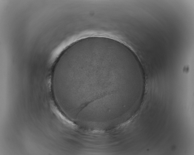 X0000111471503200907201124