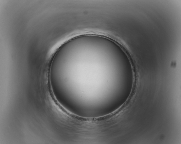 X0000111471504200907201124