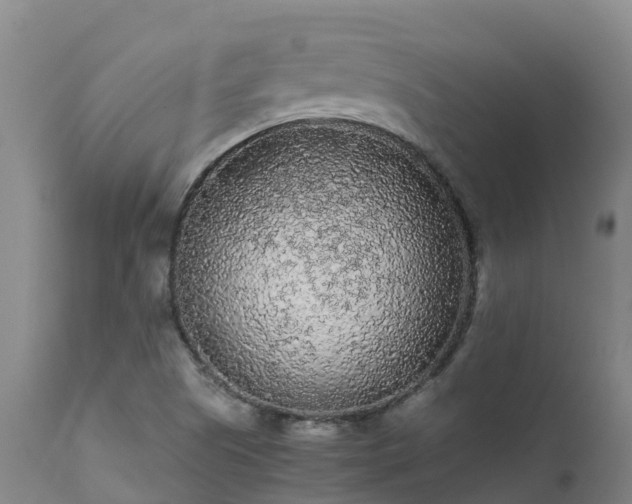 X0000111471505200907201124