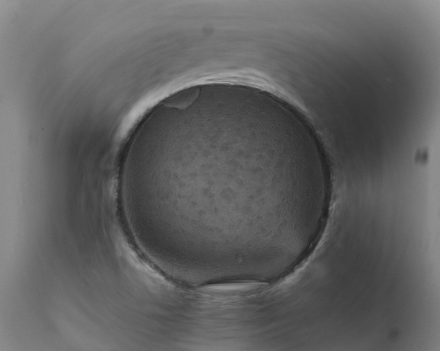 X0000111471506200907201124