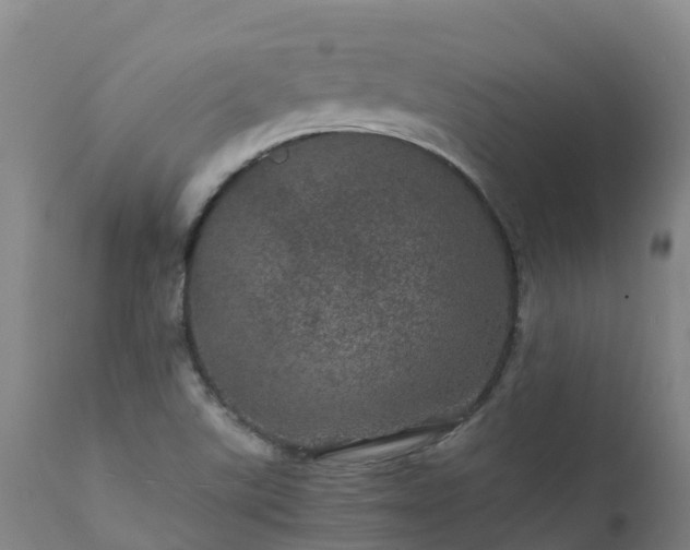 X0000111471507200907201124