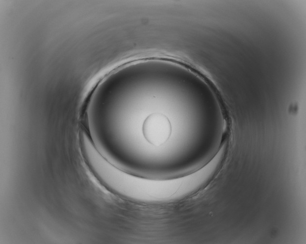 X0000111471508200907201124