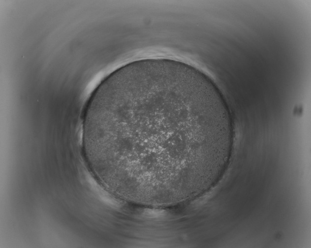 X0000111471509200907201124