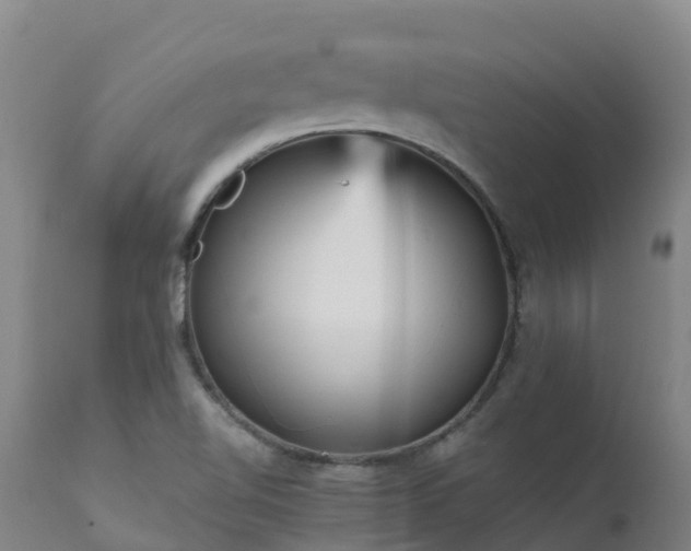 X0000111471510200907201124