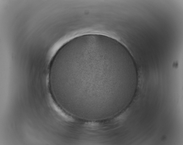 X0000111471511200907201124